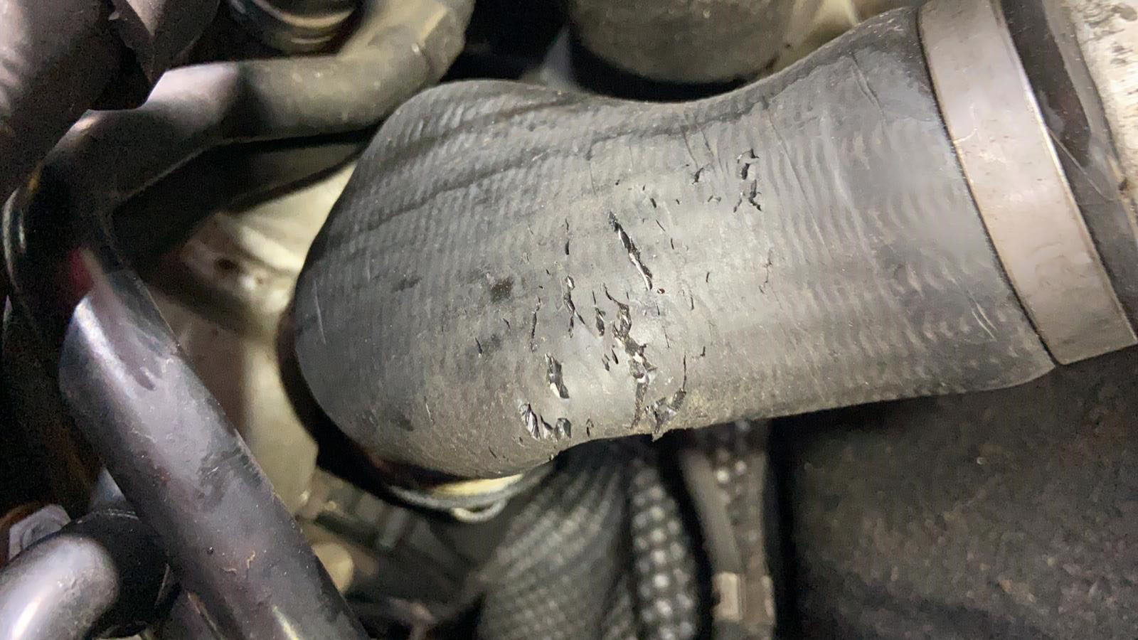 Poröser Ladeluftschlauch